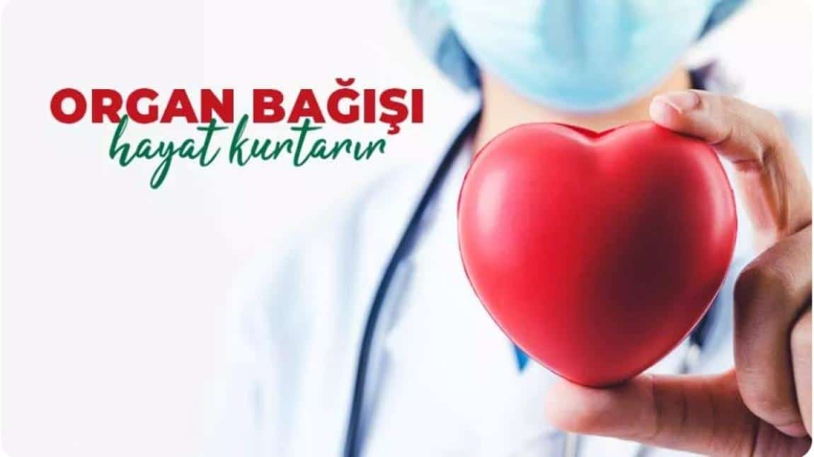 Organ Bağışı Konulu Resim Yarışmasından İlçe Derecesi